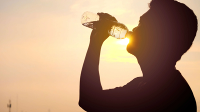 3,000 water coolers, early warning system: How Delhi plans to tame the heat