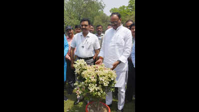 Akhilesh has anti-Dalit mindset, pushed to margins by UP voters: Asim Arun
