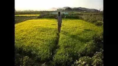 Madurai corporation students take ‘Green Walk’ to Keelakuilkudi