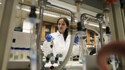 Scientists sound alarm as Trump reshapes US research landscape