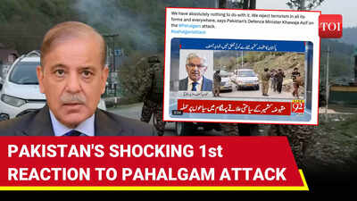 Pahalgam Horror: Pakistan Denies Role, Attacks India In 1st Reaction To J&K Terror Attack