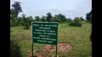 Bio-reclamation tech turns rocky belt of Koraon into green areas