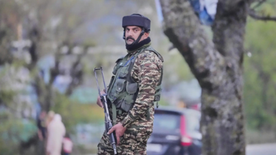 Two terrorists killed along LoC, another gunfight starts in south Kashmir