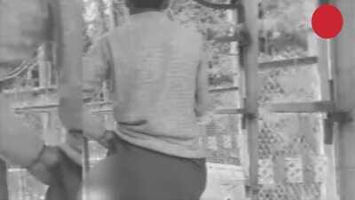 EXPOSED: Pakistan's Link to Pahalgam Terror Attack, Three Out of Five Gunmen Identified