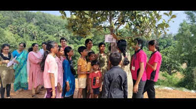 Govt school tags its trees, saplings with QR codes