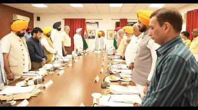 ‘Rangla Punjab Vikas’ guidelines get Punjab cabinet’s nod, to boost grassroots devpt