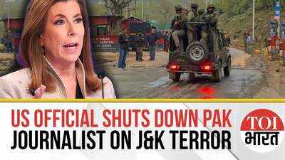 'Won't Say Nothing More': US Official SHUTS DOWN Pak Journalist Query on Pahalgam Attack, Backs India