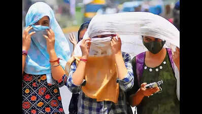 Kalyana Karnataka reels under severe heat; cries for state-specific disaster declaration