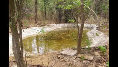 100 waterholes along National Highway in Dharashiv to quench thirst of wild animals