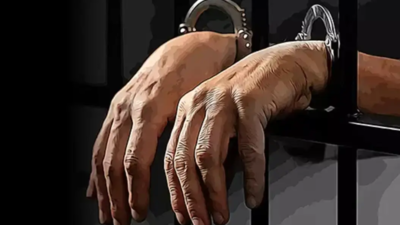 Gujarati man sentenced in US for $3m fraud
