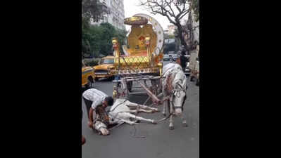 FIR after Facebook video shows horse, hitched to carriage, collapsing on road in Kolkata