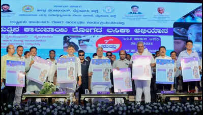 Guarantee schemes will not be stopped under any circumstances: CM