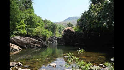 ESA draft notification on Sawantwadi-Dodamarg corridor to ease flow of 2 Goa rivers