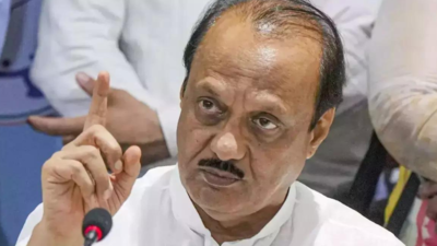In Maharashtra's Parbhani, Ajit Pawar faces protests against his crop insurance scheme comment