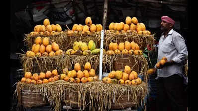 Mango prices fall as Nuzvid farmers sell directly to consumers