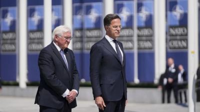 'You can count on us.' German president marks 70 years of Nato membership with pledge for future