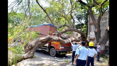 One tree falls on truck, another tree catches fire in Nashik city