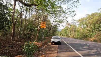 Environmentalists oppose tree felling for highway expansion