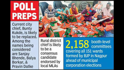 BJP To Get New Nagpur City Chief Ahead Of Local Body Polls