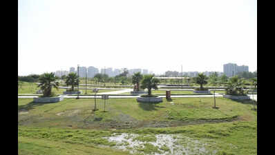Noida’s first deer park now has a Central Zoo Authority greenlight