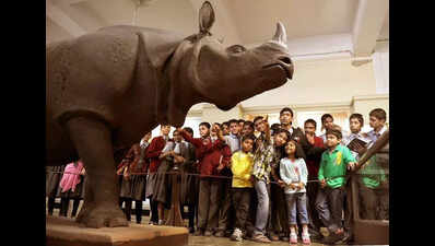 Educational policies will make India a developed country: AICTE chairperson