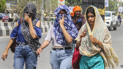 ‘Above normal’ temperatures likely in May, many states may face 2-7 heat wave days: IMD