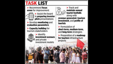 Consultant to assist tourism board with policies, private investment