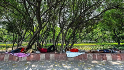 Delhi weather: Rain, thunderstorm and dust storm likely as IMD issues yellow alert till May 3