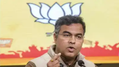 Delhi minister Parvesh Singh accuses Punjab govt of deliberately triggering water crisis amid heatwave