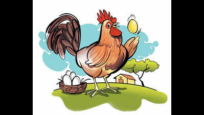 Egg price rises, while chicken price fall in Mangaluru