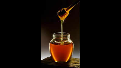 Konkan Fruit Fest begins, to feature 30 honey varieties