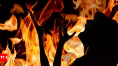 Angry over break-up, man sets ex-girlfriend on fire in Chennai