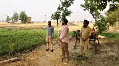 Despite India-Pakistan war clouds over Pahalgam terror attack, life remains calm in Punjab border villages