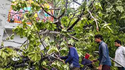 Former 100m champion Sangeeta's plea ignored after tree destroys home