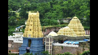 Simhachalam temple wall collapse: Inquiry panel to submit initial report today