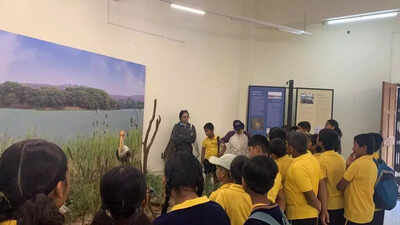 Students learn about river conservation through hands-on project in schools