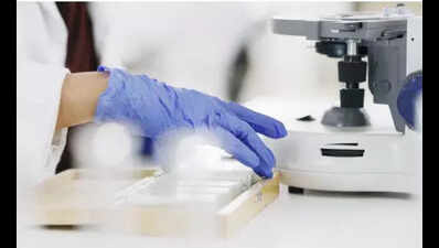 5-day forensic workshop from tomorrow