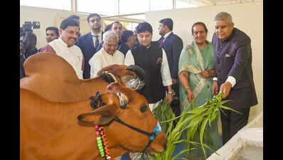 Dhankhar pitches ‘agri-preneur’ model for nation’s growth