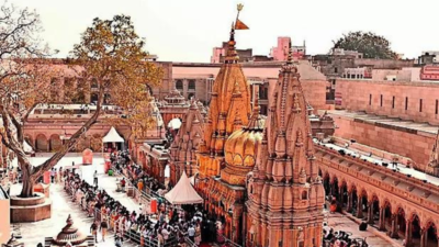 Kashi sees 77% rise in desi, 34% in foreign visitors