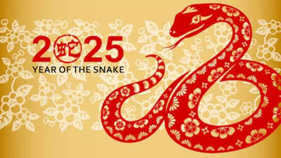 Weekly Chinese Horoscope (May 05 – May 11): Predictions for Snake Zodiac Sign