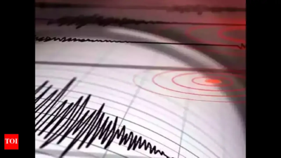 Earthquake of 4.2 magnitude hits Pakistan, no damage reported