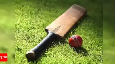 UP teen bludgeoned to death with cricket bat over ‘wide ball’