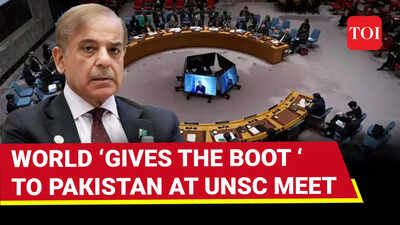 Pakistan Finds No Takers For Its Anti-India Propaganda At UNSC, Nations Grill Islamabad Over Pahalgam Attack