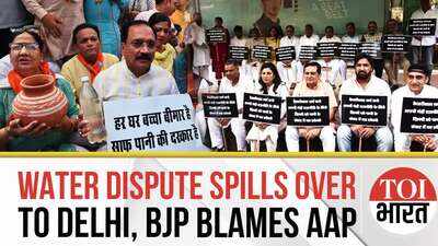 Delhi Jumps Into Haryana-Punjab Water Dispute, BJP Blames Mann Govt for Stopping Water to Capital
