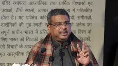 Congress chief is leading 'brigade of destructive opposition: BJP