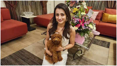 Trisha Krishnan shares heartwarming birthday photo dump, says ‘Couldn’t ask for more’