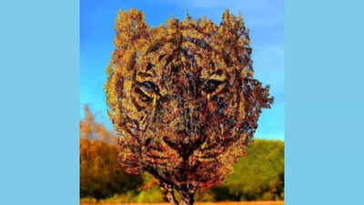 Optical illusion personality test: Tiger or tree? What catches your attention first reveals if you are tough or generous at heart