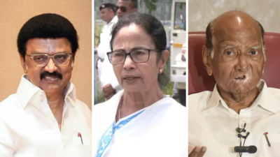 INDIA bloc leaders back operation, laud valour of defence forces