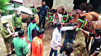 1k horses & mules quarantined after 'virus outbreak' on Kedarnath yatra route