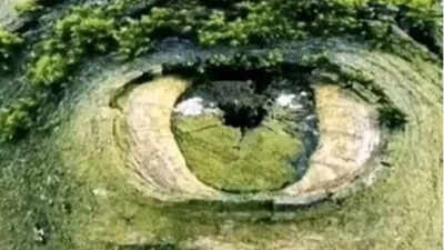 Optical illusion personality test: What you see first in this image reveals your deepest insecurity